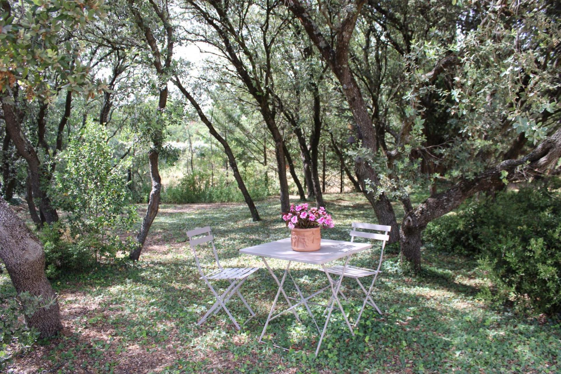 Provence.bienvenue Chez Nous * Rognes